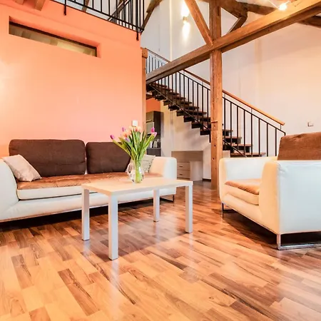 U Cerne Veze Aparthotel Ceske Budejovice