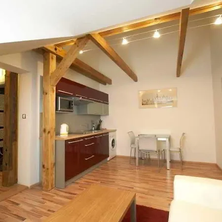 U Cerne Veze Aparthotel Ceske Budejovice
