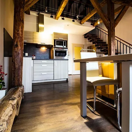 Aparthotel U Cerne Veze 4*